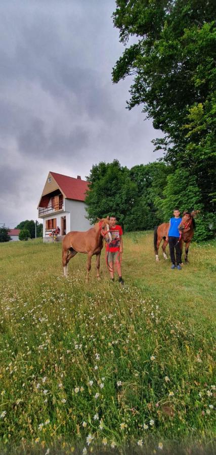 Willa Kolibri Žabljak Zewnętrze zdjęcie